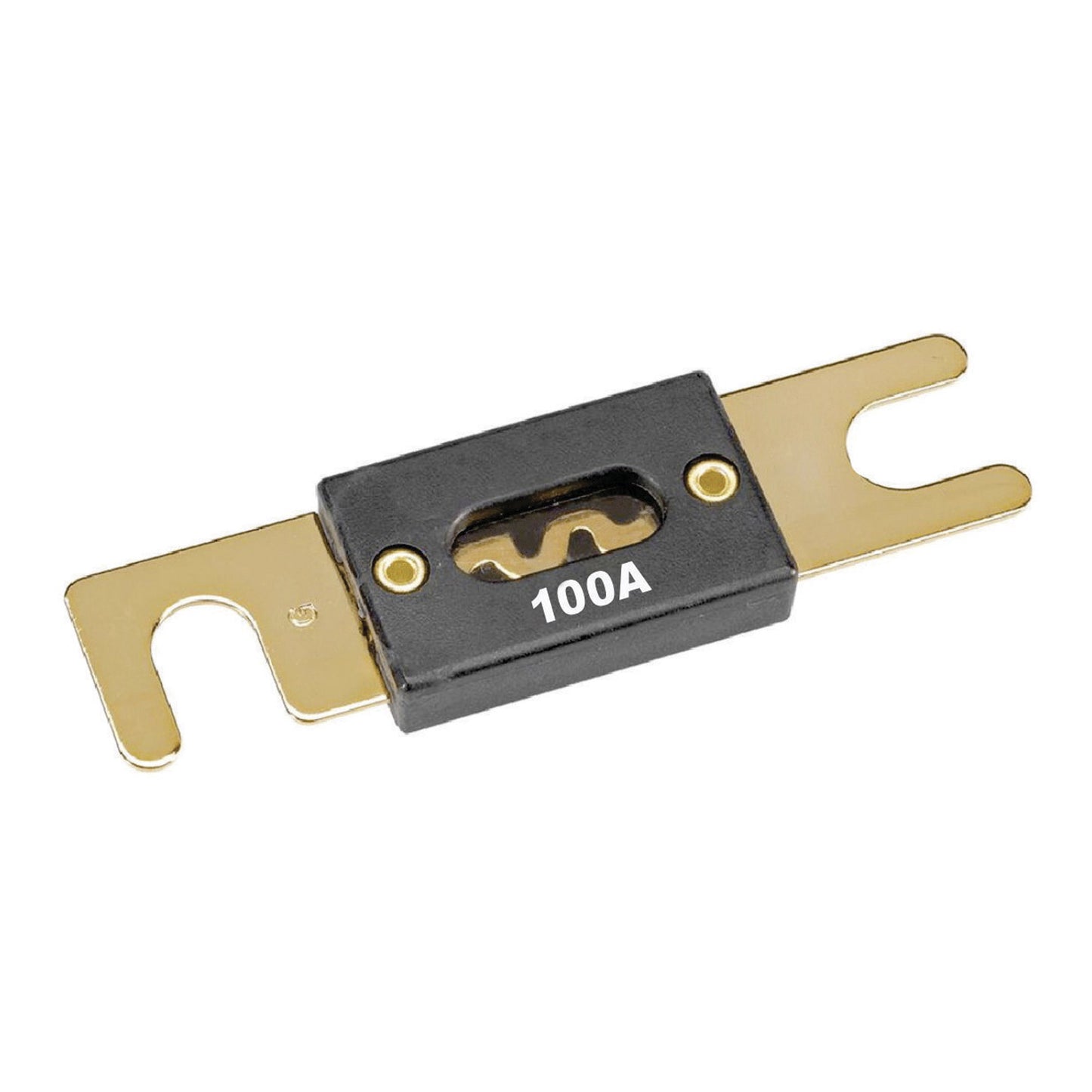 Type ANL Fuses 100 Amp 5 pcs image 0
