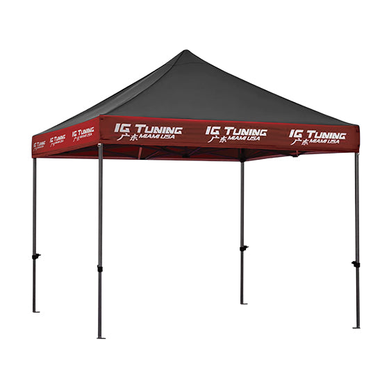 Heavy Duty Canopy 3 x 3 Two Colors image 1
