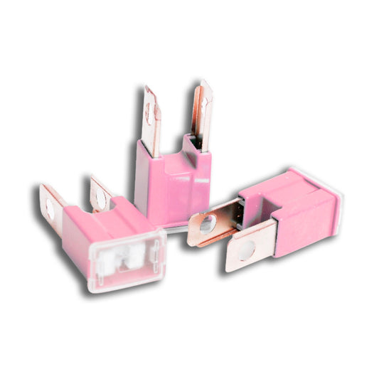 PAL Fuse 30 Amp Male 20 pcs image 0