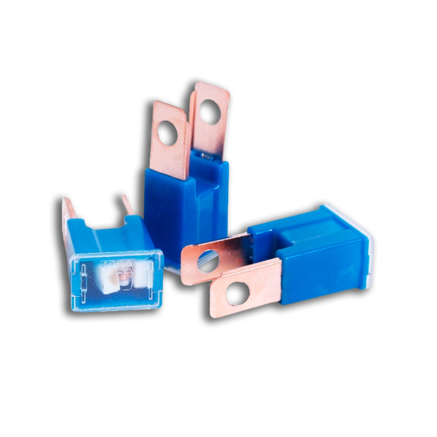 PAL Fuse 100 Amp Male 20 pcs image 0