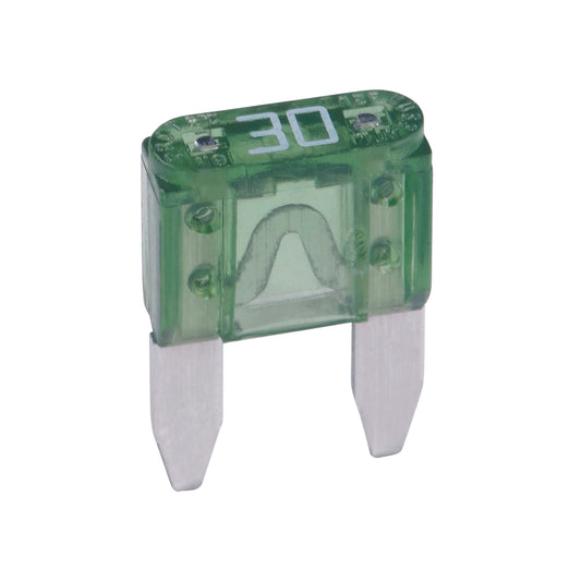 30 Amps Mini  Fuse 100 Pcs image 0