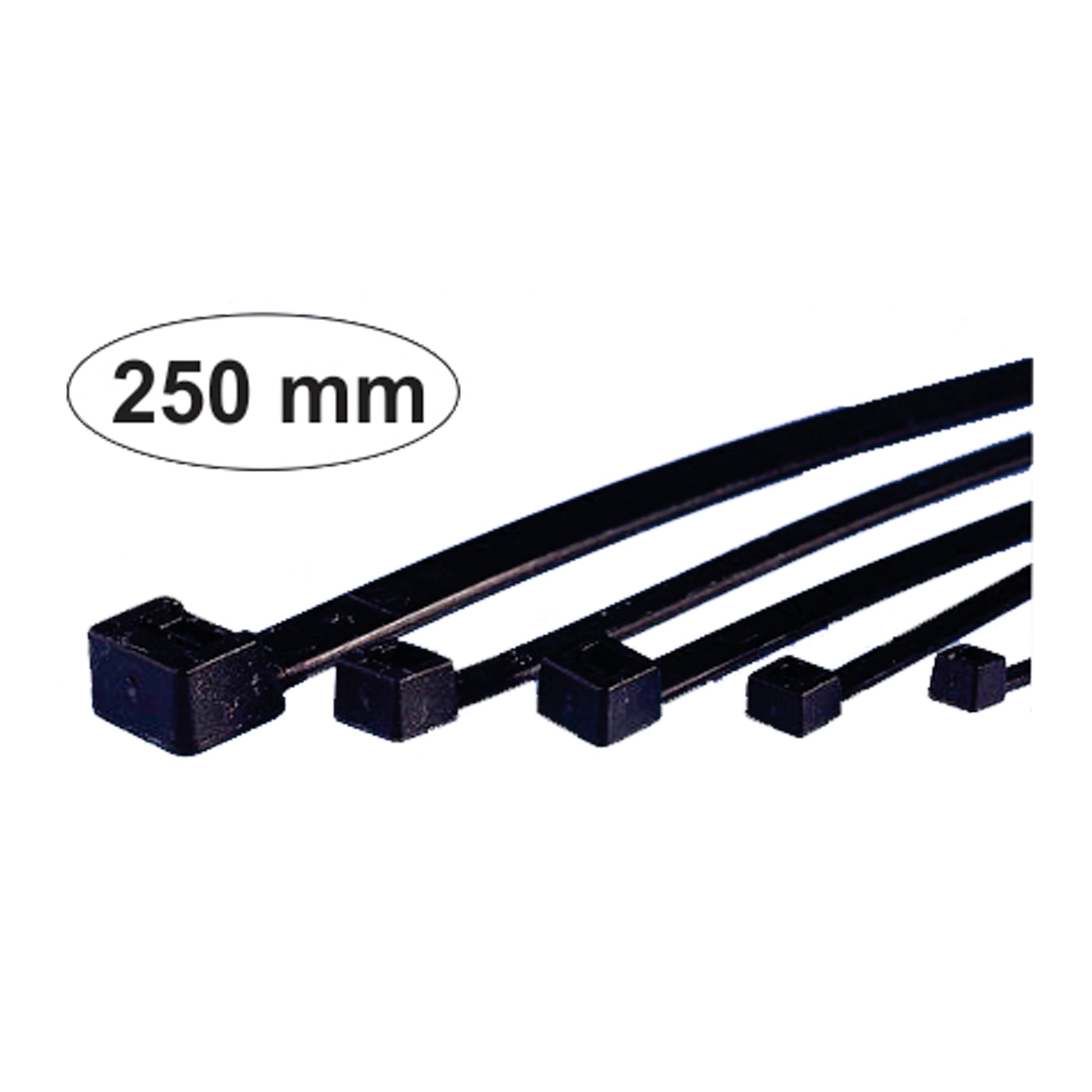 250Mm Black Pl. Tie Wrap image 0