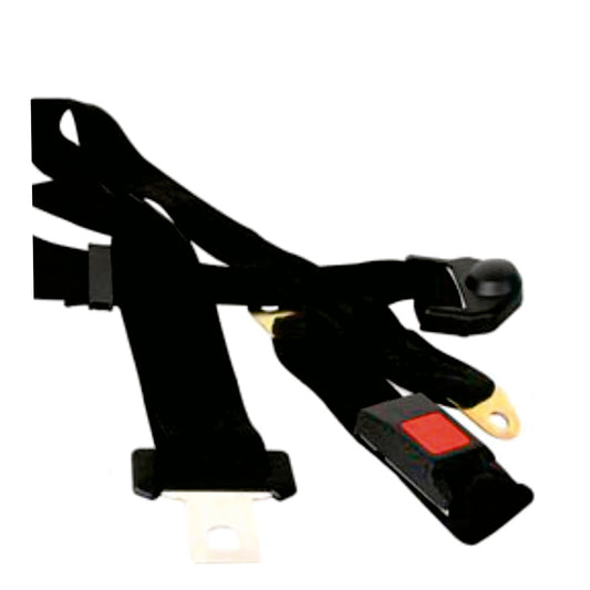 175Cm X 5Cm 3 Point Seat Belt image 0