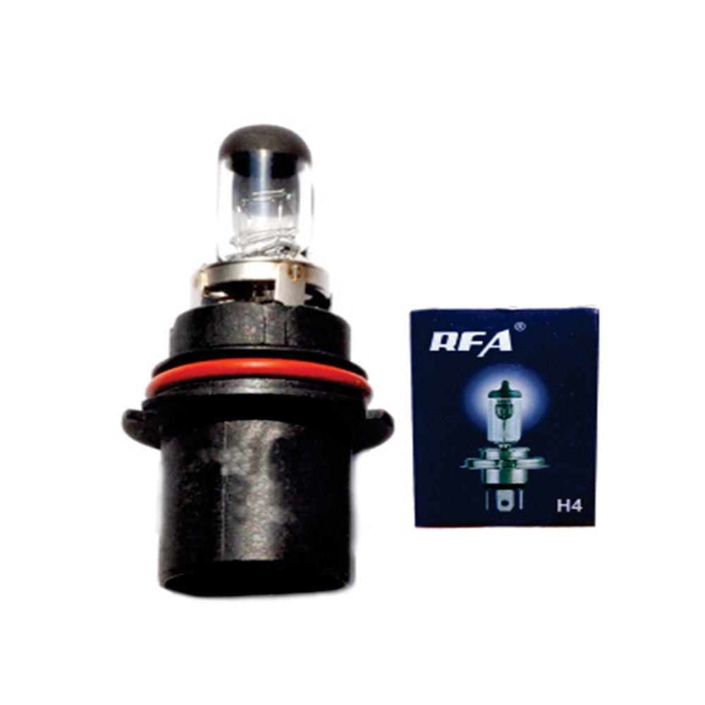 Bulb 9004 100W 10 Pcs image 0