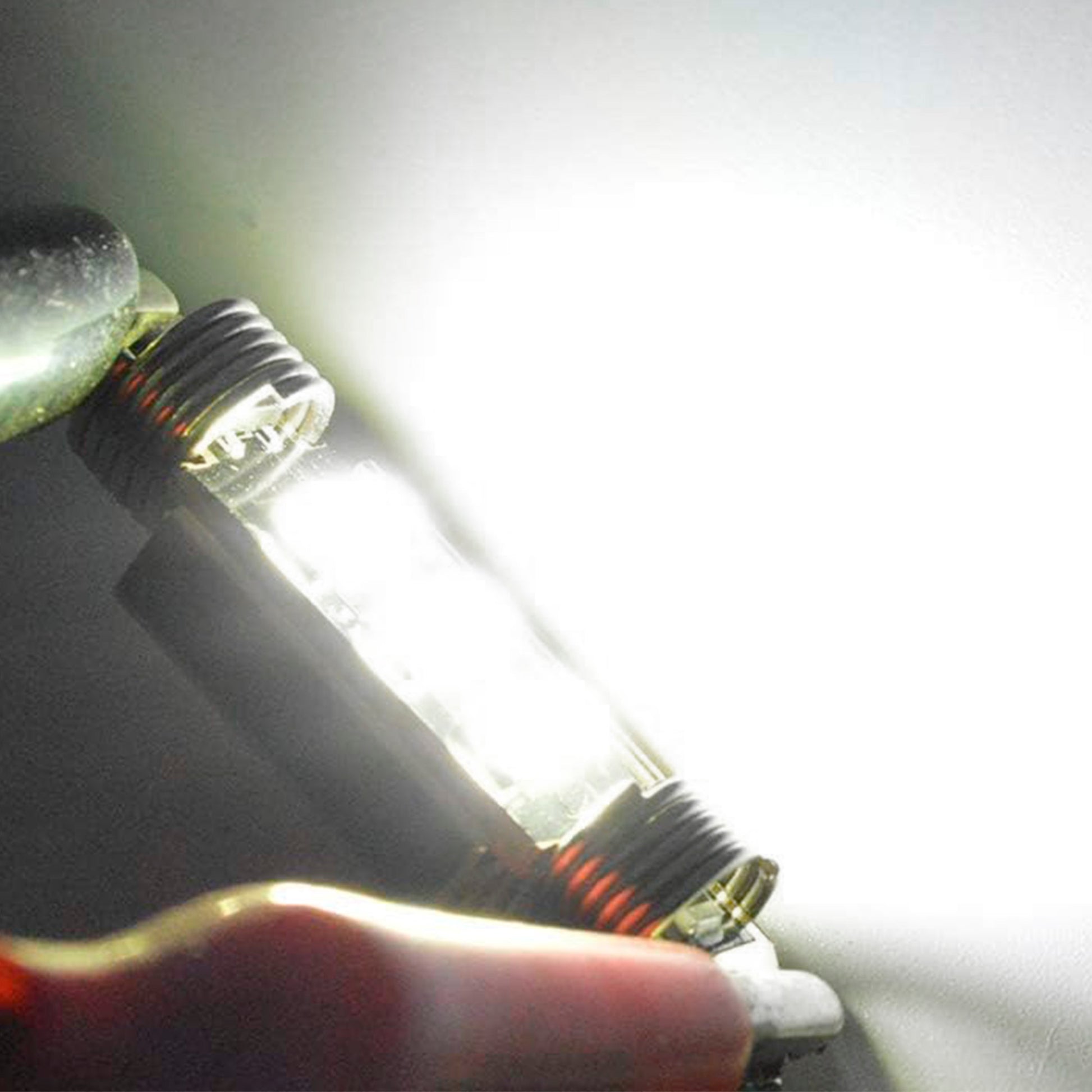 LED Roof Light 3030 6 SMD CANBUS 31mm 2 pcs image 3